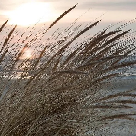 Cuxland-Ferienpark Nordseebad Dorum Semesterpark Dorum