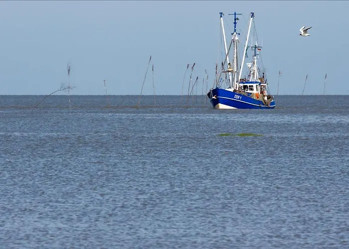Vakantiepark Cuxland-Ferienpark Nordseebad Dorum