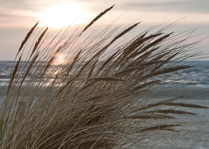 Cuxland-Ferienpark Nordseebad Dorum Vakantiepark Dorum